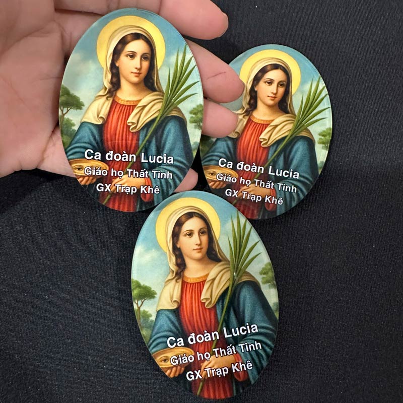 huy-hieu-mica-doan-cong-giao